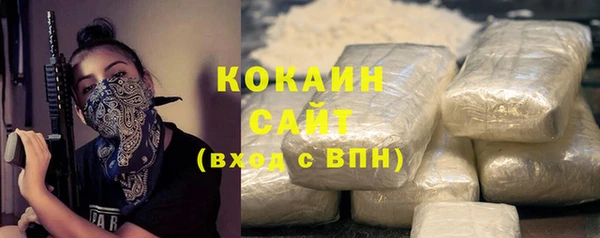 mix Богородицк