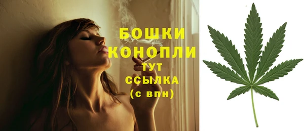 ГАЛЛЮЦИНОГЕННЫЕ ГРИБЫ Беломорск