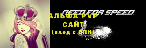 крисы Белокуриха