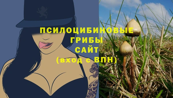 ГАЛЛЮЦИНОГЕННЫЕ ГРИБЫ Беломорск