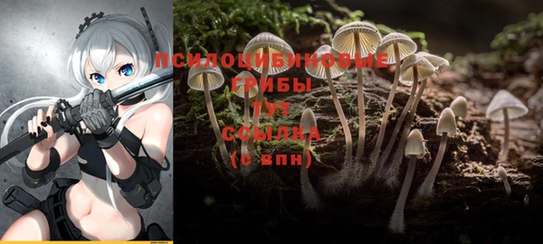 mix Богородицк