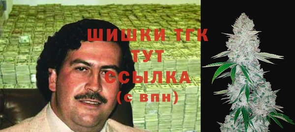 ГАЛЛЮЦИНОГЕННЫЕ ГРИБЫ Беломорск