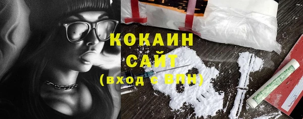 гашиш Богданович