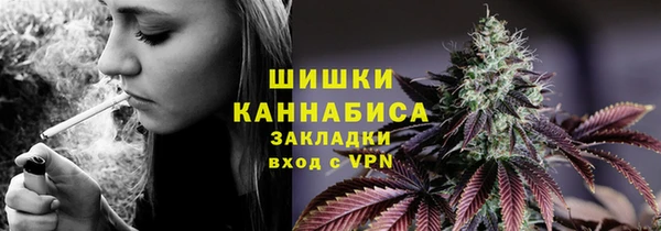крисы Белокуриха