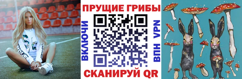 маркетплейс формула  как найти наркотики  Саяногорск  Галлюциногенные грибы Psilocybine cubensis 